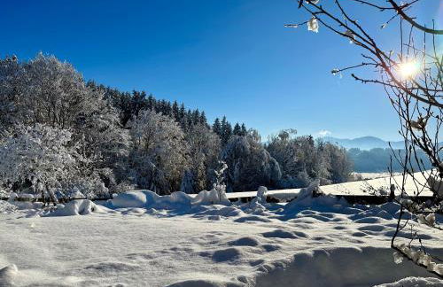 Landsitz Rocky Docky - Foto 39