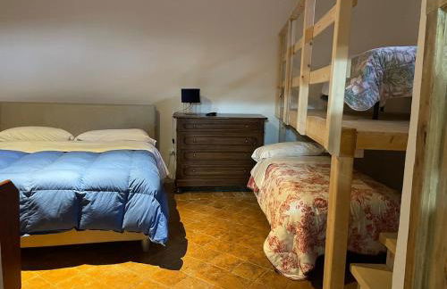 Large family - Foto 44