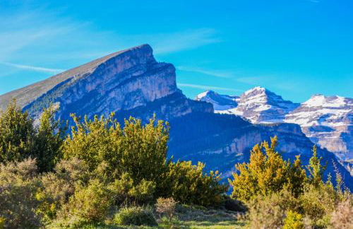 As Fuebas de Patricio - Foto 18