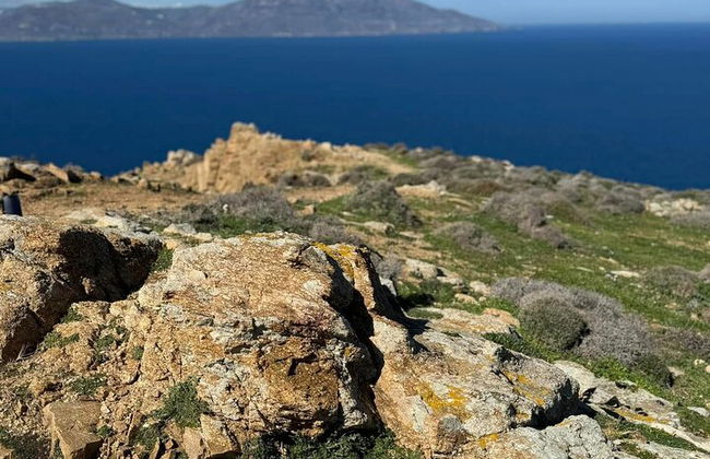 Excursión privada de medio día a la costa - Foto 11