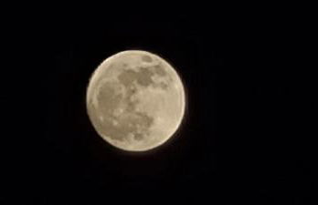 El Rinconcito - Foto 20