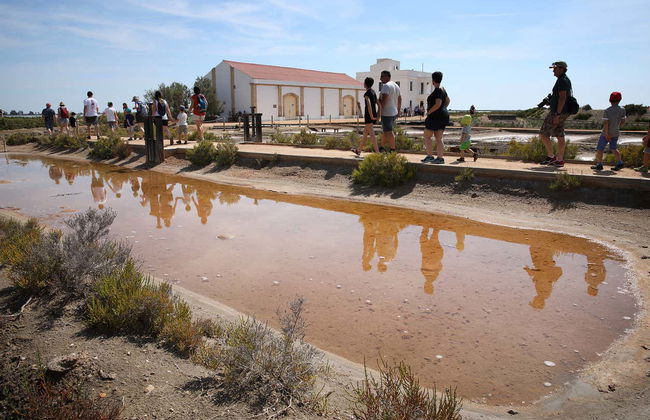 Visite guidée de MónNatura Delta de l'Èbre - Photo 7