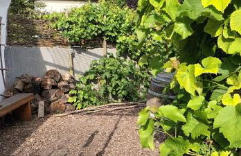 Fachwerkhaus mit Garten nah an Stadt und Natur - Foto 9