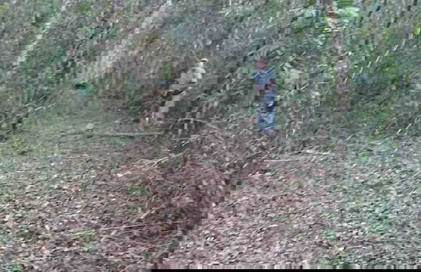 Pilgrim's Paradise Cabin 2 - Photo 15