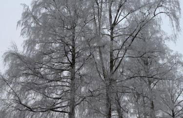 Waldseechalet Julius - Wemding - Foto 41