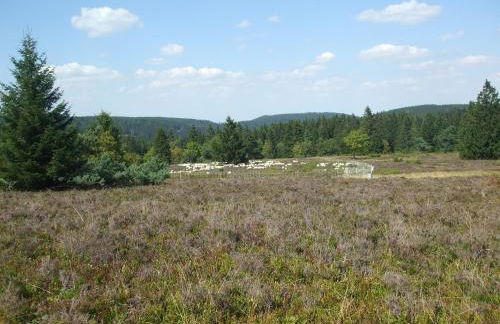 Ferienwohnung Hankeln - Foto 60