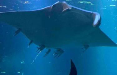 Appartement de 95 m2 bien situé - Foto 34