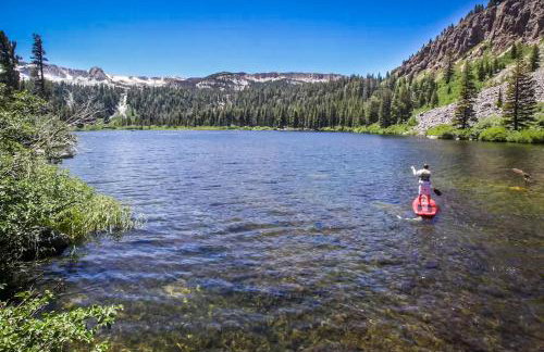 Mammoth Green 101 - Photo 48