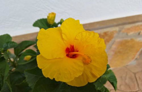 La Palmera Casa Rural - Foto 30