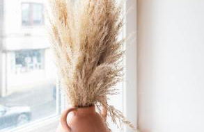 Tilly House - Foto 11