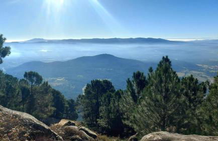 Casa Ypsilon Olive Oil - Photo 30