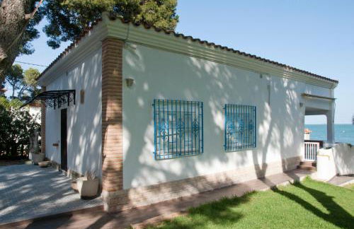 Sargantana Blava - Foto 61