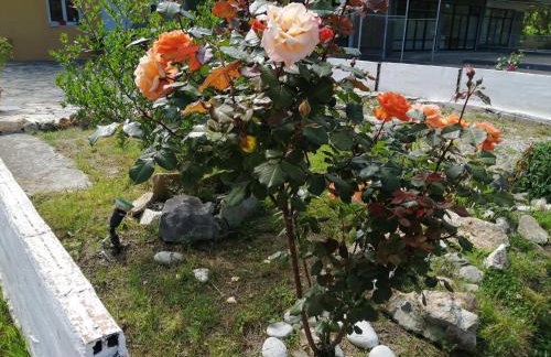 CHRISTOS Apartments - Foto 7