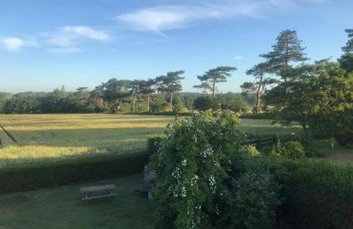 The Artist's House, Orford - Foto 18