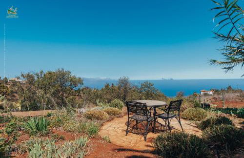 Casa Palmera - Photo 36