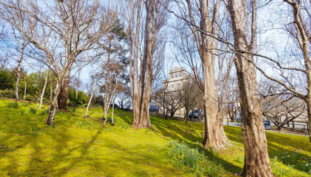 Visite panoramique dans Hobart - Photo 3