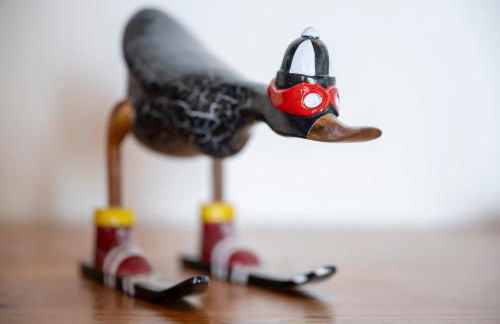 Echo des marmottes - Au pied des pistes - Parking - Foto 20