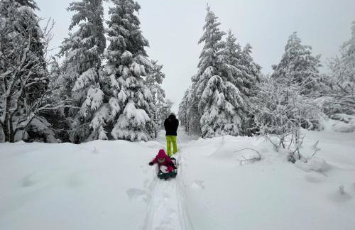Maison de village, Route des lacs - Foto 28