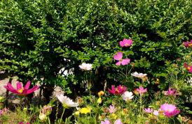 Chalet dell'Orso - Foto 58