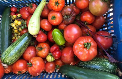 Πατρικό ολόκληρος ξενώνας entire stone guesthouse - Foto 42