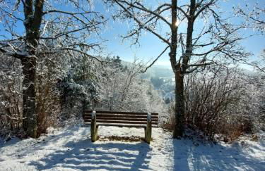 Haus am Römerstich - Foto 15