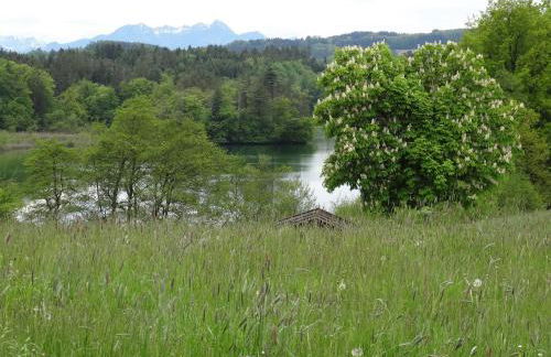 Ferienwohnung Bei der Töpferei - Photo 27