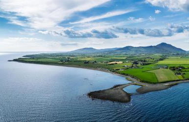 Lilys Pink House - Photo 47