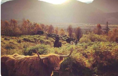 Solstice Cabin - Photo 19