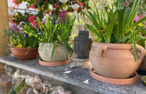 CLUA Holiday House - Photo 20