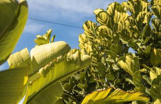 Exclusive Villa City, Beach & Golf - Photo 57