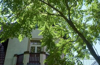 Villa Beckmann - Foto 30