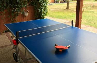 Domki przy jeziorze z prywatną plażą w Borach Tucholskich Pensjonat Alicja wczasy z dziećmi nowe luksusowe domki na skraju jeziora i lasu - Foto 10