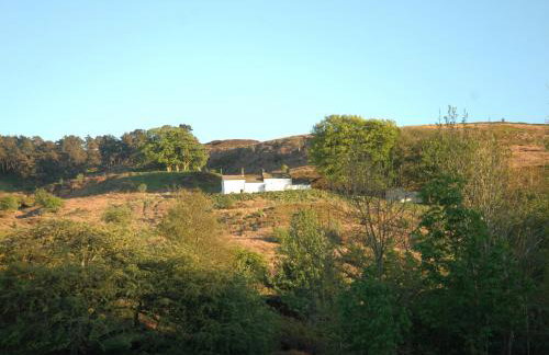 Garden Cottage - Photo 19