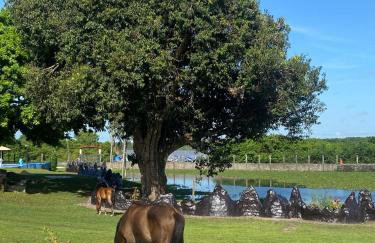 Pousada Marajoara- Hotel Fazenda-Turismo de Aventura - Photo 48