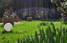 Holiday Home Forest INN - Foto 79