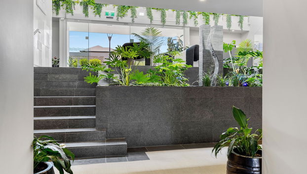 Sacred Waters - Foto 2, Receção