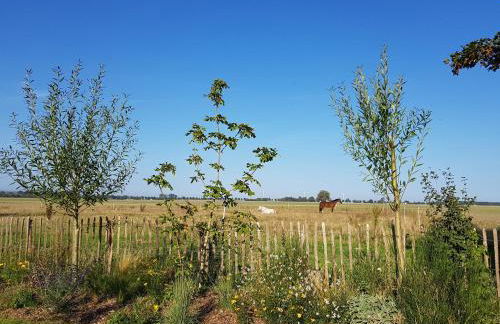 Heimatliebe Ferienwohnung - Foto 23