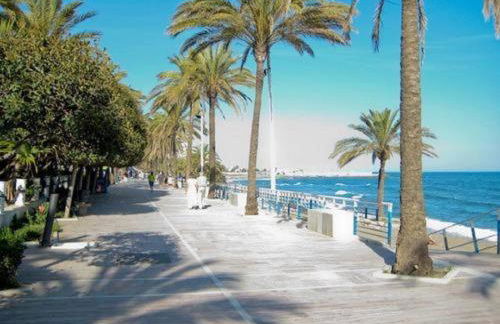 Matchroom Perla Roja 2 - Photo 39