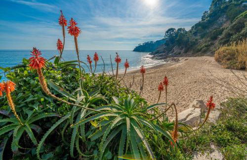 Rincón De María Cerca Playa Vistas Mar Terraza Barbacoa - Foto 19