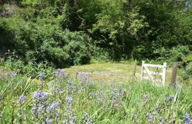 Guyscliffe Farm Holiday Lets - Foto 38