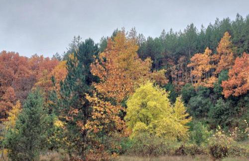 Gousios Apartments - Foto 38