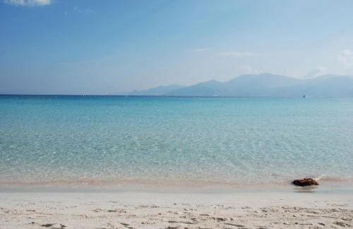 Domaine Vermentinu - Foto 44