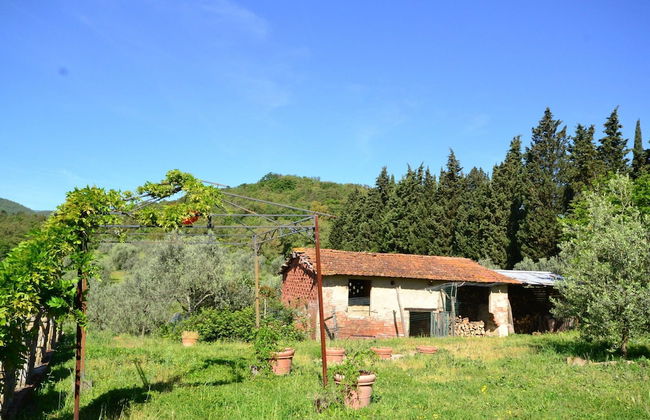 Lovely Estate not far From Florence With Olives Trees - Foto 53