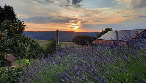 Landhof Rothenberg - Foto 4