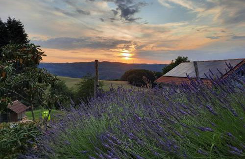 Landhof Rothenberg - Foto 4