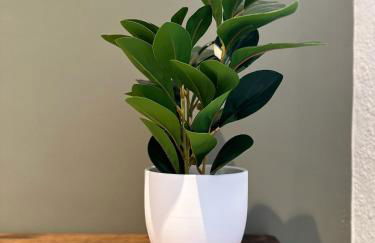 Apartamentos Vernia Ontinyent - Foto 15