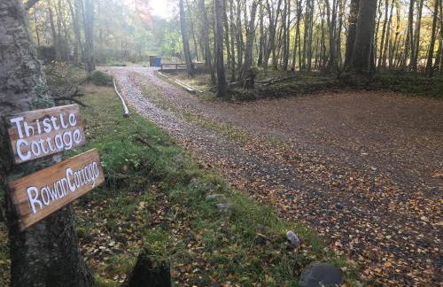 Rowan Cottage, CrannachCottages - Foto 19