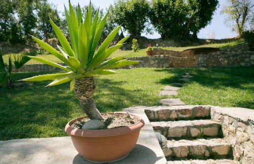 Villa Russelia - Foto 68