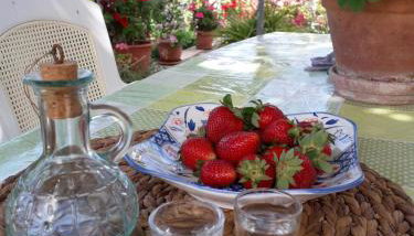 Phaistos Country House - Foto 4, Garden