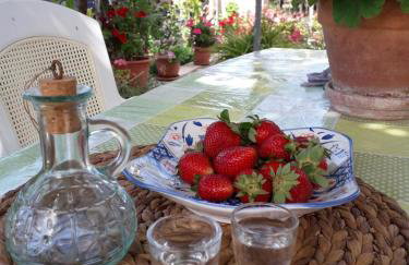 Phaistos Country House - Foto 4